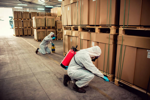 Best Affordable Pest Control Services  in Spencer, WI
