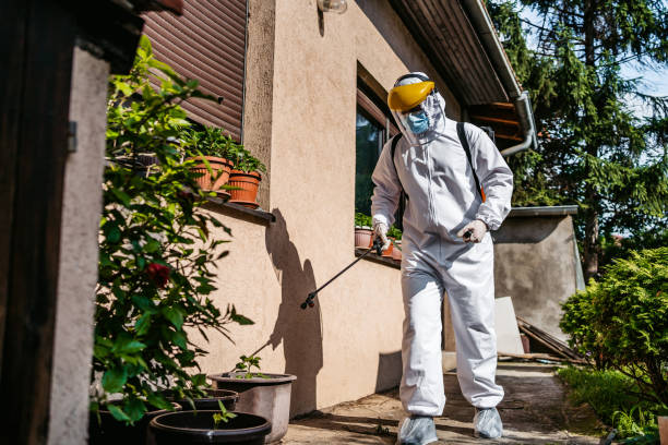 Best Mosquito Control Services  in Spencer, WI