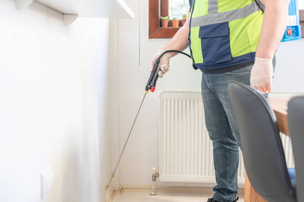 Wasp Removal Services in Spencer, WI