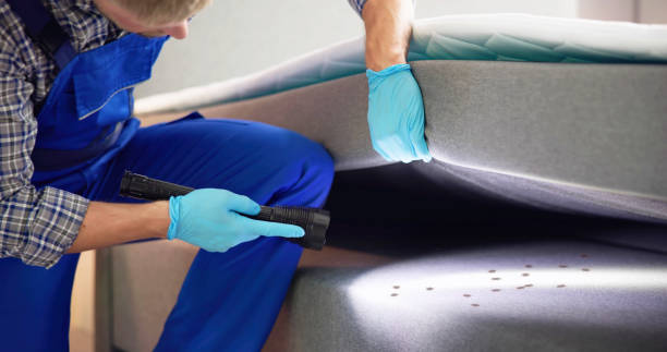 Best Local Pest Control Services  in Spencer, WI