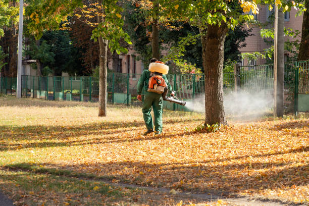 Best Residential Pest Control  in Spencer, WI