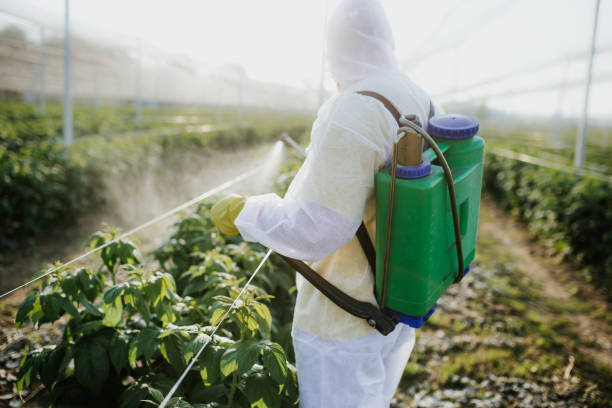 Best Cockroach Control Services  in Spencer, WI